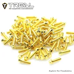 Treal 1.9 beadlock wheel Steel Scale Hex Head Screws 100pcs-Pack Golden