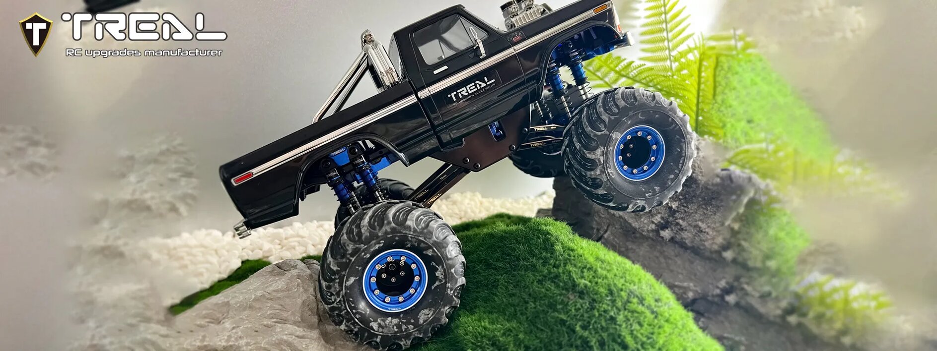 Rc dealers online